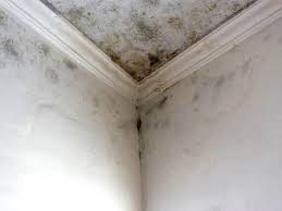 Best Post-Construction Mold Inspection  in Conyers, GA