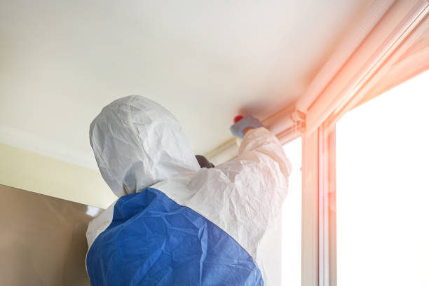 Professional Mold Inspection in Conyers, GA