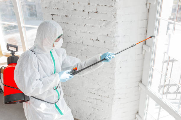 Mold Documentation for Insurance Claims in Conyers, GA